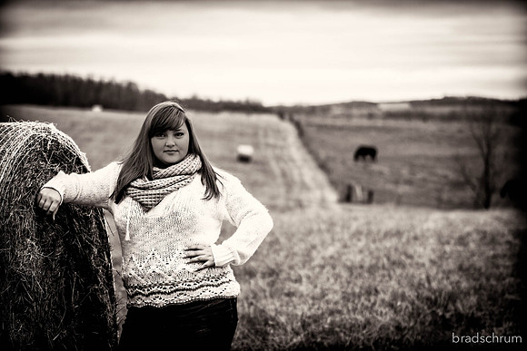 _MS_5270-2012110332