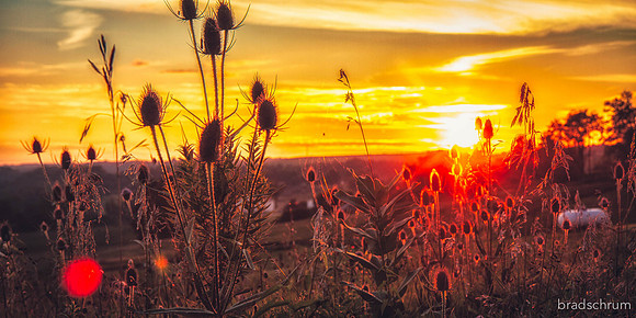 BMS_1474_edit-2-20130804-2